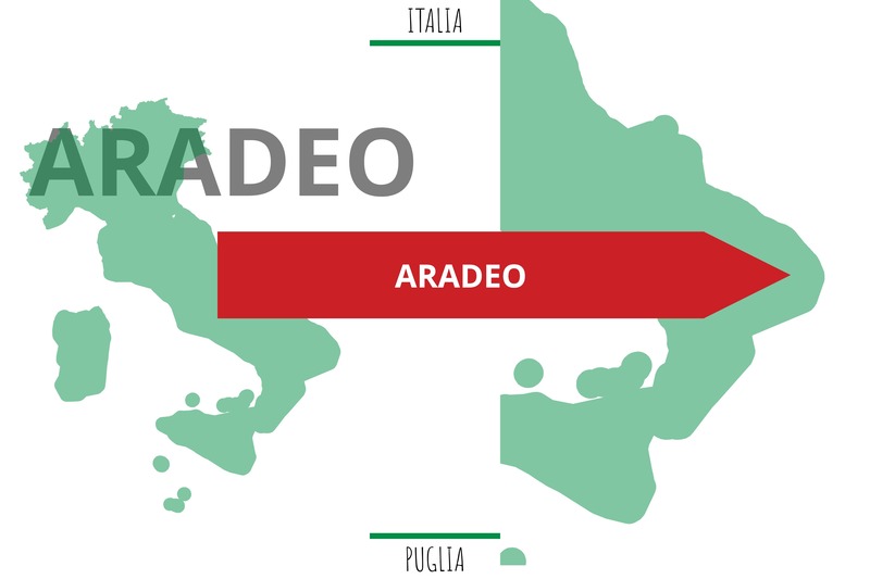 Aradeo