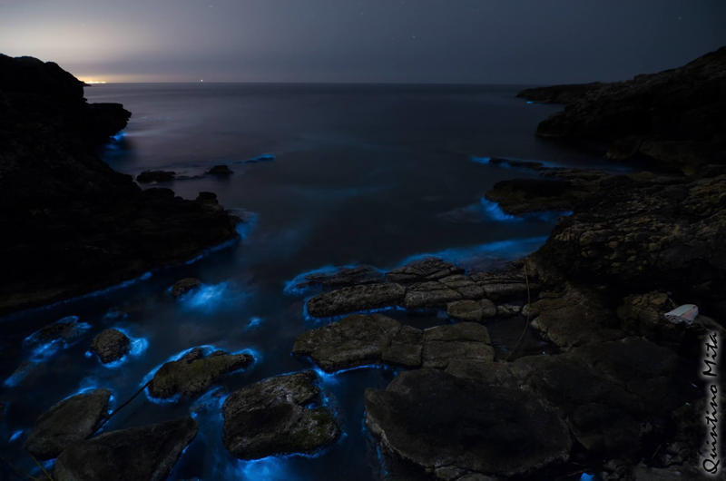 Il mistero dell'acqua blu elettrica del mare di Porto Selvaggio 