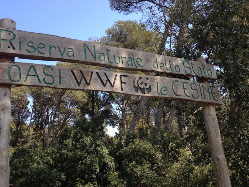 La riserva naturale delle Cesine: ecco perché merita una visita 