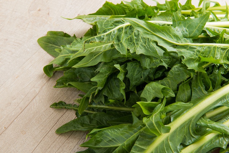 foglie di cicoria sul tavolo