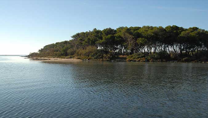 L'isola dei conigli di Porto Cesareo 