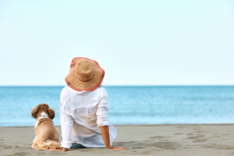 spiagge per cani