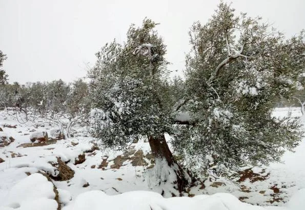 Neve nel Salento: e se fosse legata ad un'antica profezia?