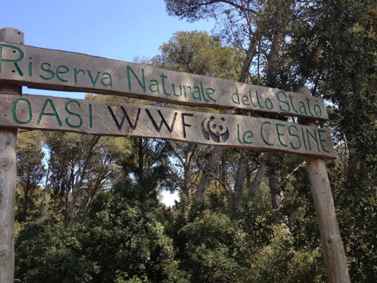La riserva naturale delle Cesine: ecco perché merita una visita