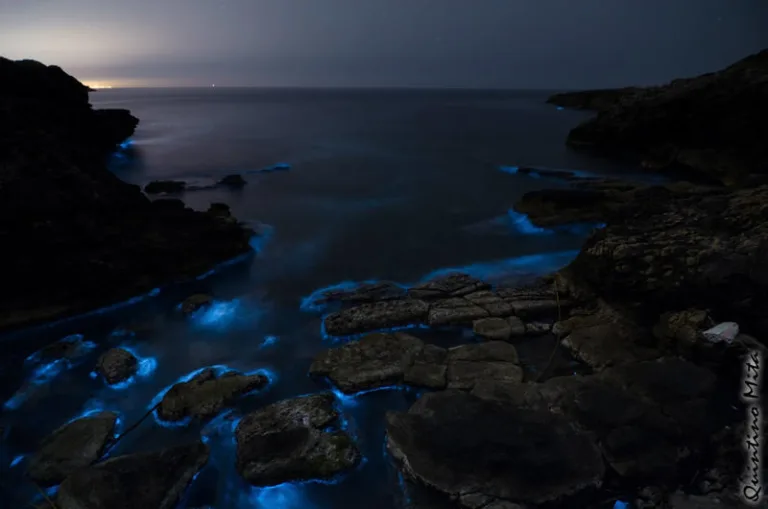 Il mistero dell'acqua blu elettrica del mare di Porto Selvaggio