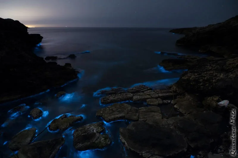 Il mistero dell'acqua blu elettrica del mare di Porto Selvaggio