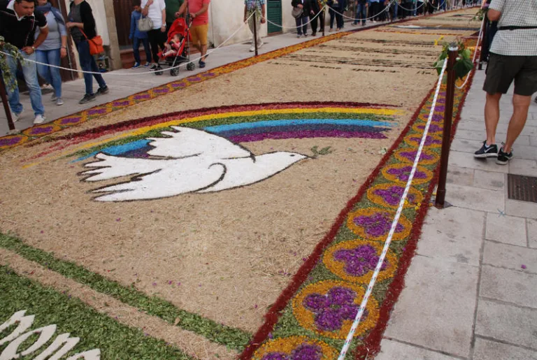 L'infiorata di Patù: scopri l'evento 2017