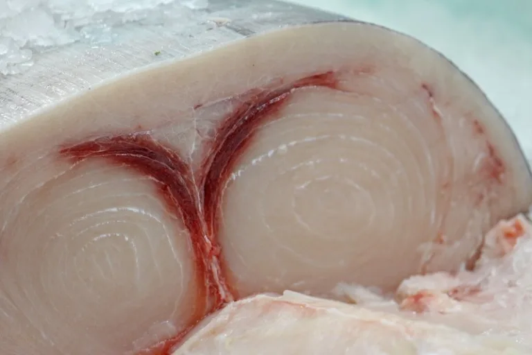 pesce spada alla gallipolina