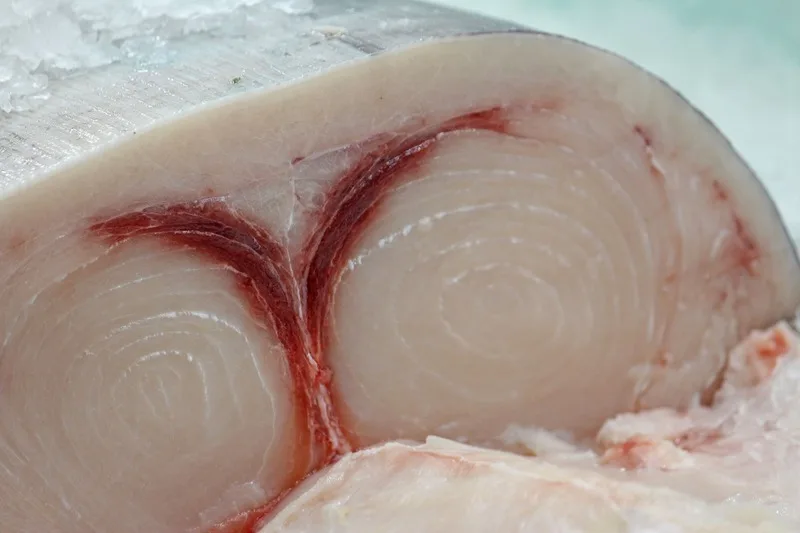 pesce spada alla gallipolina