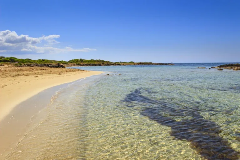 Lido Marini